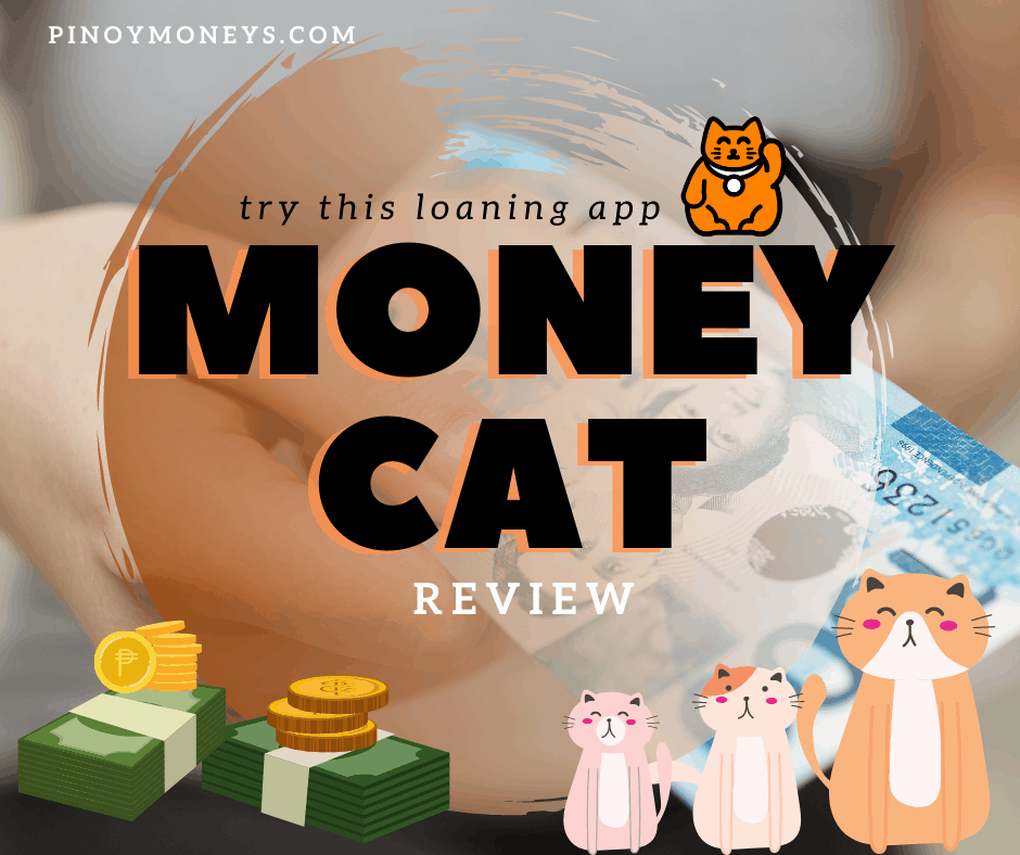 moneycat sb